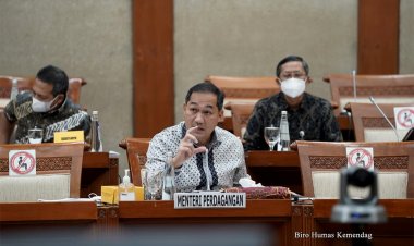 Mendag Pastikan 3 Tsk Penimbun Minyak Goreng Ditangkap