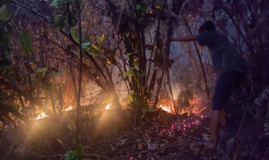 Bukit Jalan Murai Kelurahan Aek Manis Terbakar, Api Lahap Seluas 1 Hektare