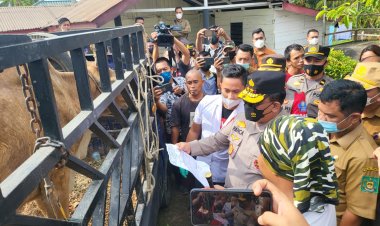 Cegah penyebaran PMK Di Sumut, Kapoldasu Sidak Peternakan Sapi 