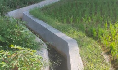 Pemdes Aloban, Bangun Irigasi & Tembok Penahan Tanah Untuk Tingkatkan Hasil Pertanian