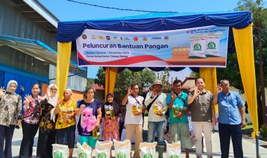 Sempat Terkendala, Bulog Sibolga Akan Salurkan Bantuan Pangan Pada Juni 2026